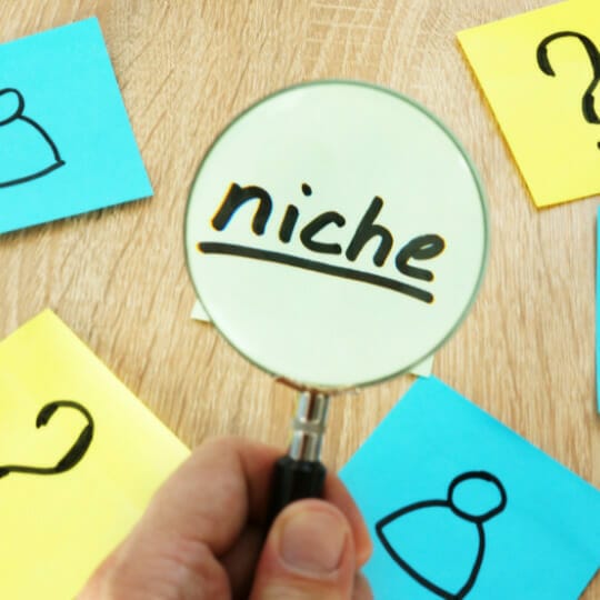 E#188 3 Reasons Why Knowing Your Niche is Valuable